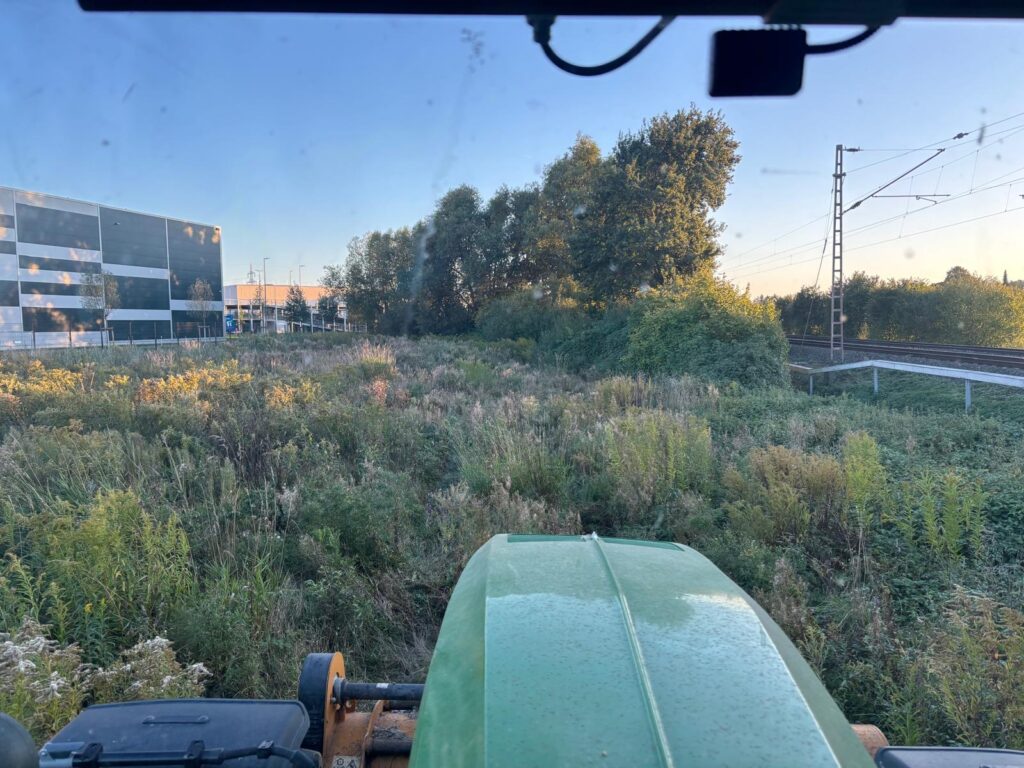 Mulcharbeiten auf einer verwilderten Grünfläche